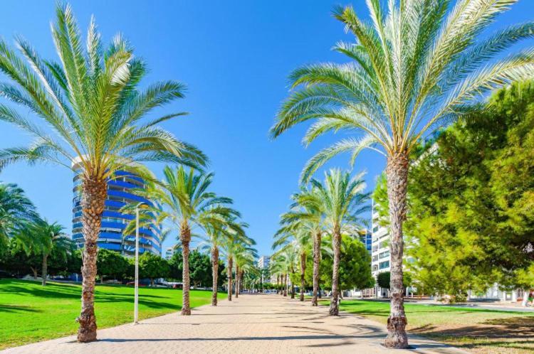 Cala Cosy Daire Benidorm Dış mekan fotoğraf